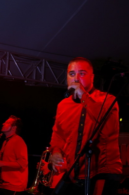 IMGP8545.jpg
