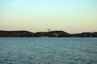 IMGP8913.jpg