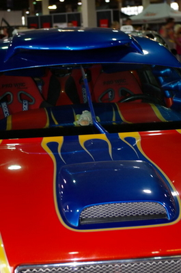 IMGP4124.jpg
