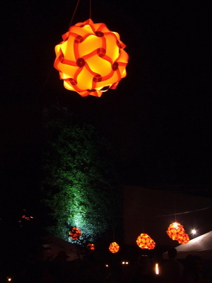 DSCF6553.jpg