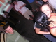 Filename=pic_083.jpg
Filesize=141KiB
Dimensions=800x600
Date added=Jul 26, 2007 pic_083.jpg