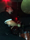 DSCF1635.jpg