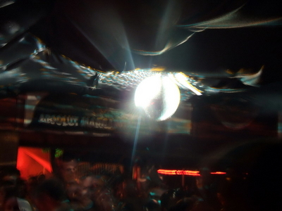 DSCF6732.jpg