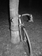 Rewind_2006_m�jus,cic�k077.JPG